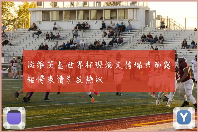 诺维茨基世界杯现场支持瑞典面露错愕表情引发热议