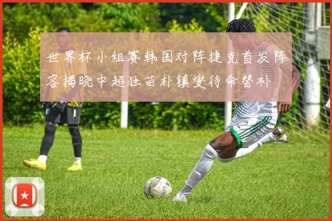 世界杯小组赛韩国对阵捷克首发阵容揭晓中超独苗朴镇燮待命替补