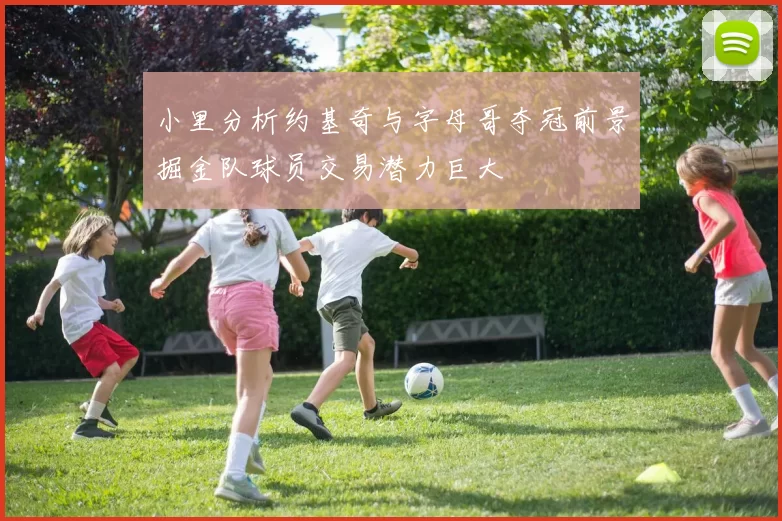 小里分析约基奇与字母哥夺冠前景掘金队球员交易潜力巨大
